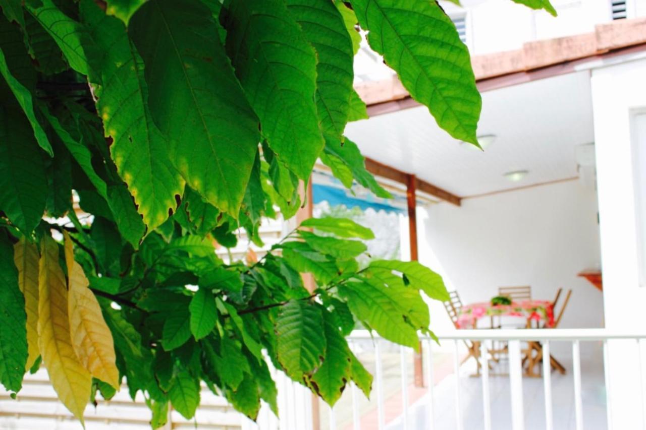 Villa Bougainvillier 莱特鲁瓦西莱 外观 照片